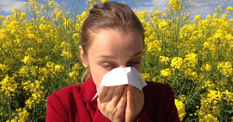 Desatero pro pylové alergiky: Jak přežít nadcházející sezónu?