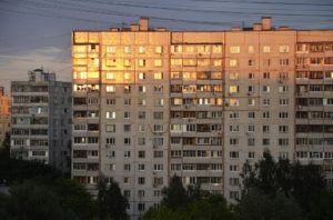 švábi, štěnice