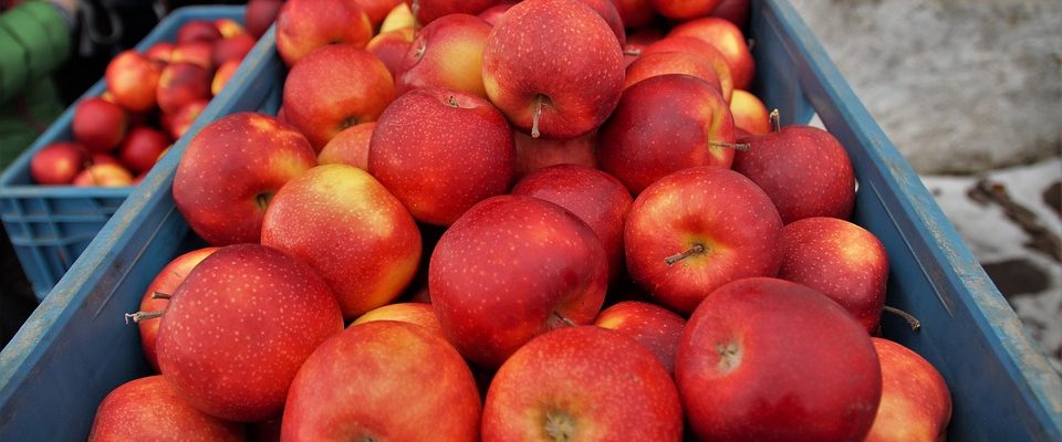 Tipy a rady, jak skladovat ovoce a zeleninu ve sklepě