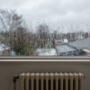 Vlhkost a plíseň v bytě: příčiny a co s tím